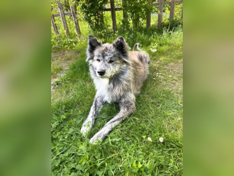 Yuma - ist unkompliziert
