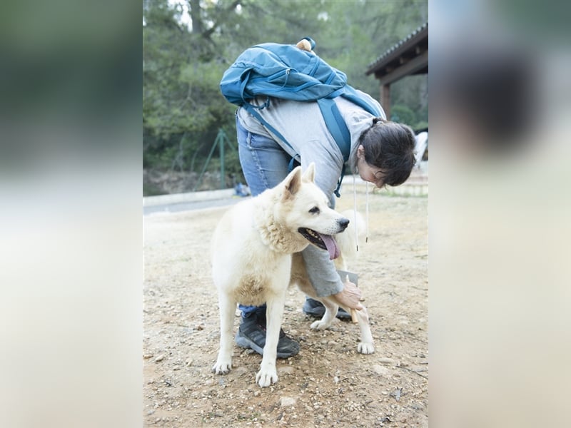 ALANA- treuester Hund überhaupt