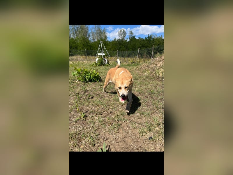 Mici, Kinderliebe Lebensfrohe junge Dame sucht dich!