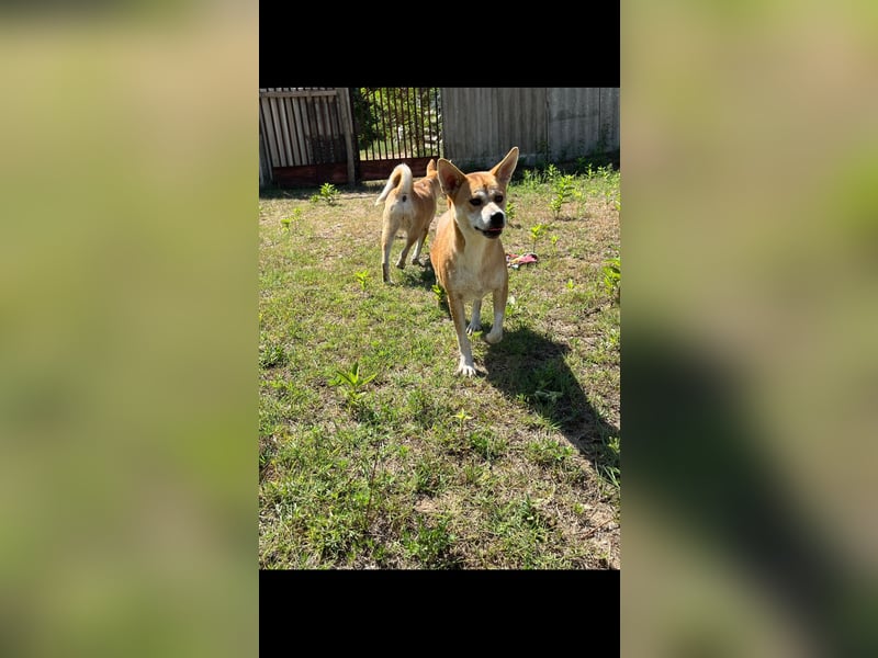 Mici, Kinderliebe Lebensfrohe junge Dame sucht dich!