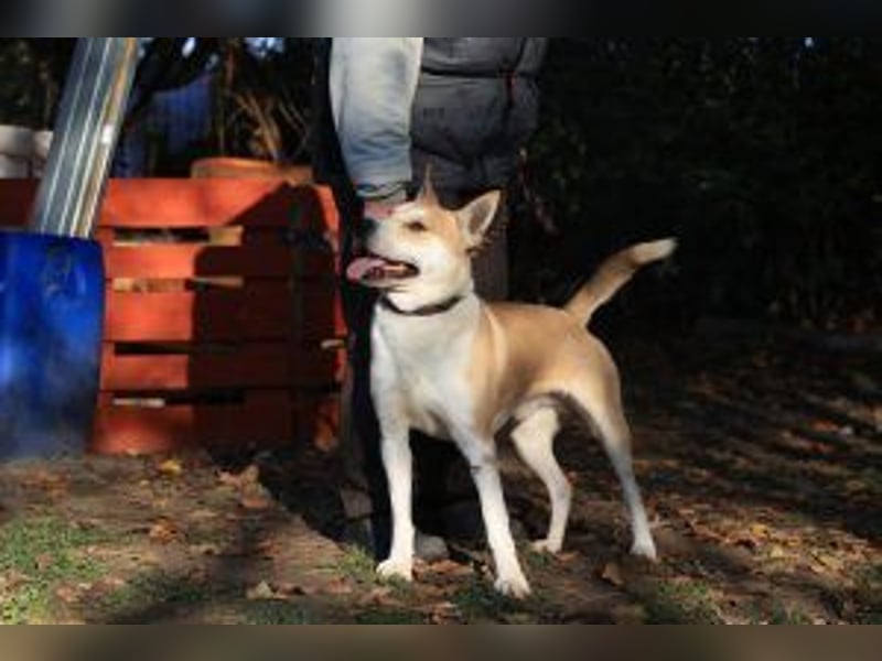 Der Rohdiamant Yaro sucht aktive Menschen