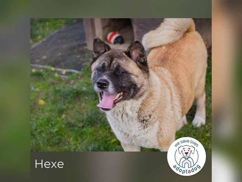 Hexe: Kämpferin mit großem Herzen