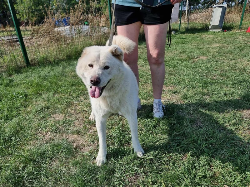 Zuzu, geboren 01.01.2018, 59cm sucht ihre Menschen