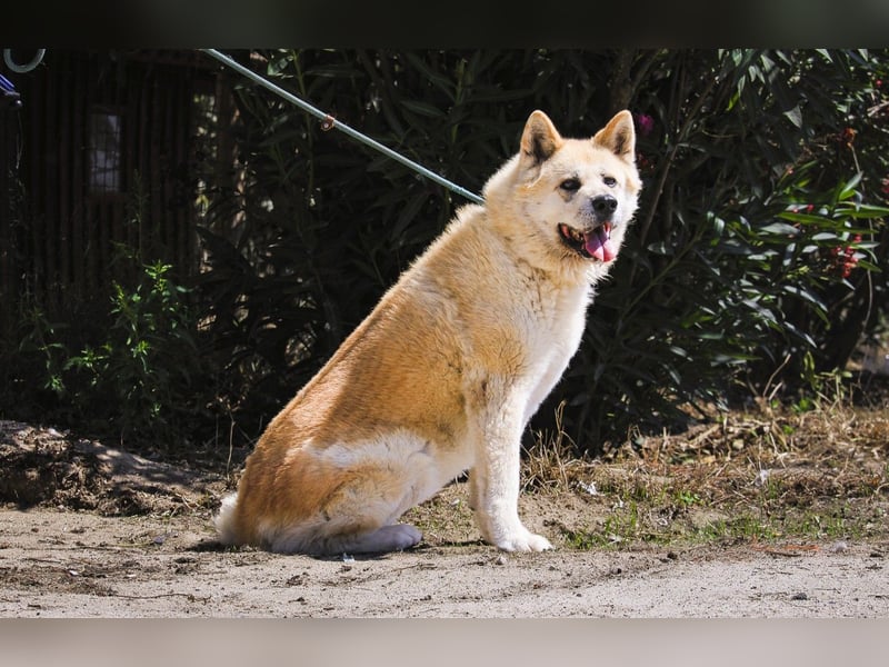 SENIORIN ❤️ MAGALI - will dir ihr ❤️ schenken !