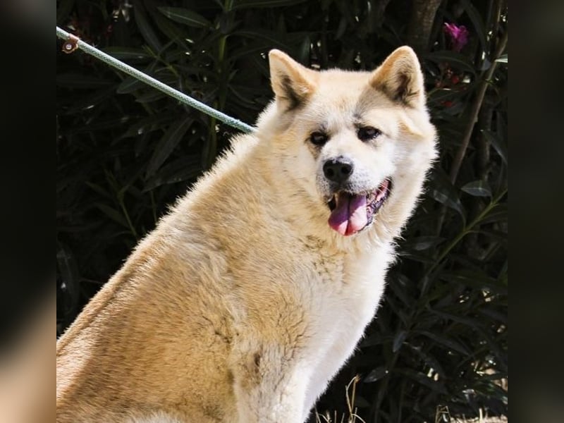 SENIORIN ❤️ MAGALI - will dir ihr ❤️ schenken !