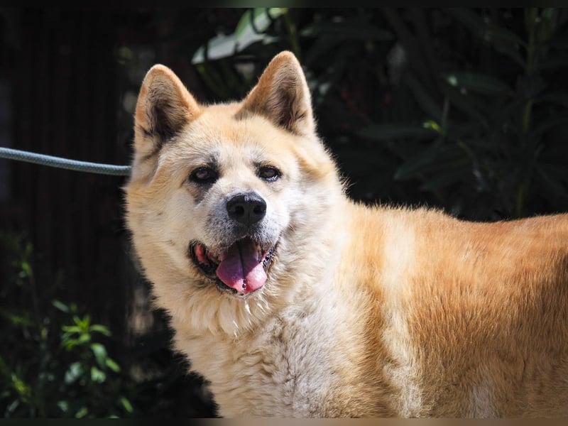 SENIORIN ❤️ MAGALI - will dir ihr ❤️ schenken !