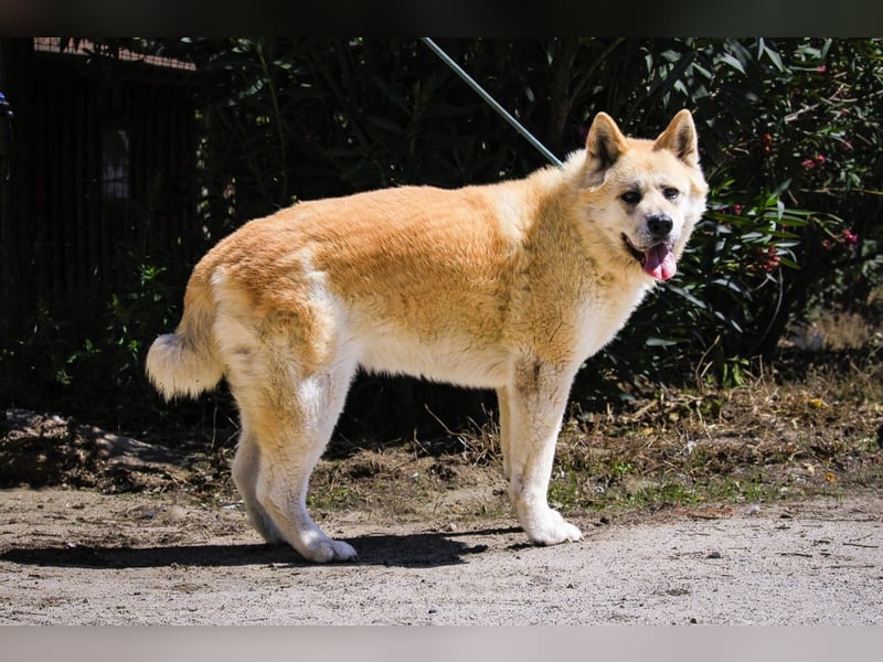 SENIORIN ❤️ MAGALI - will dir ihr ❤️ schenken !