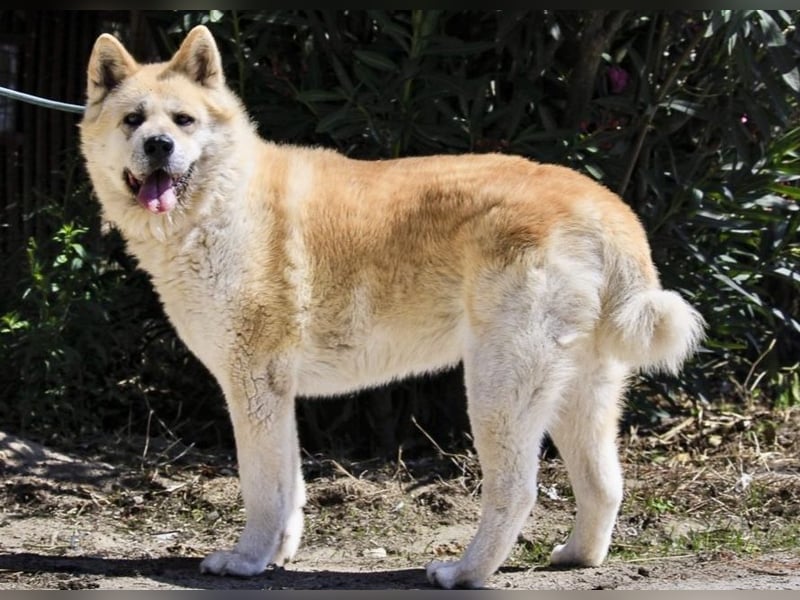 SENIORIN ❤️ MAGALI - will dir ihr ❤️ schenken !
