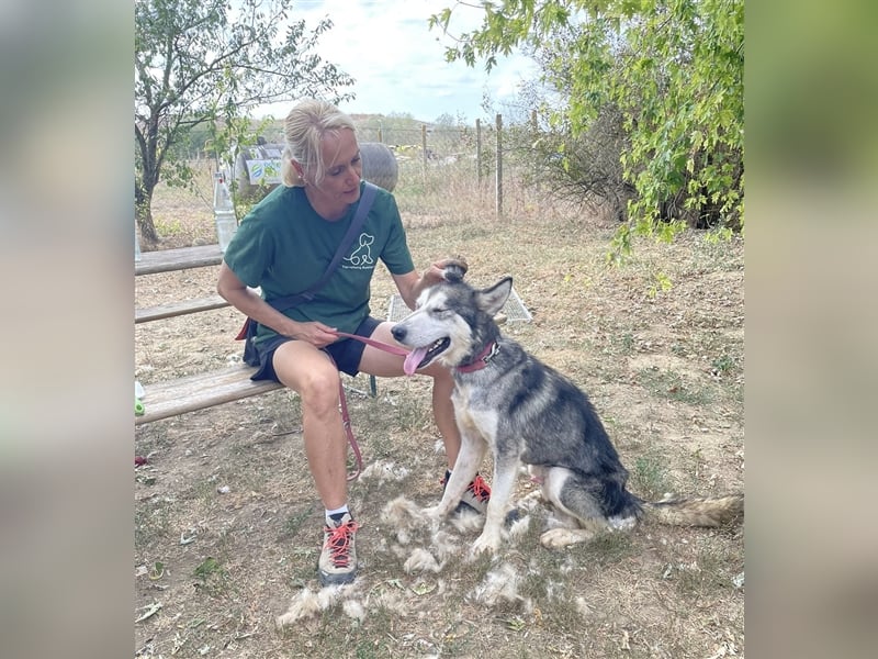 Kody, freut sich auf eine aktive Familie