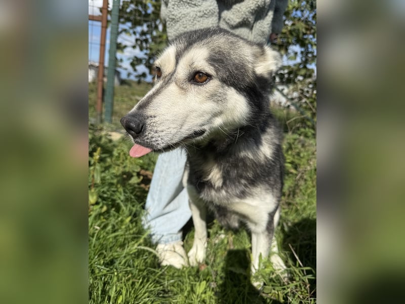 Carlos möchte ankommen