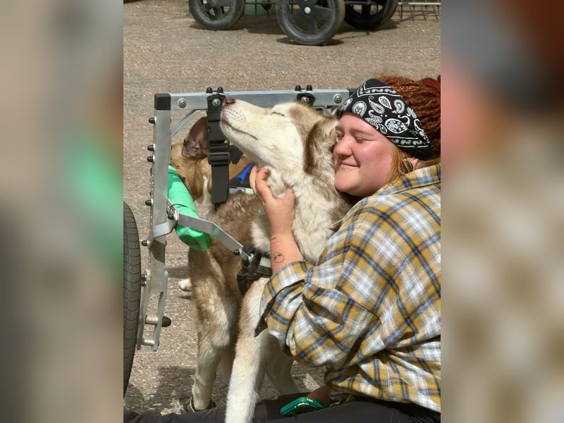 Lou - liebevoll und kuschelig