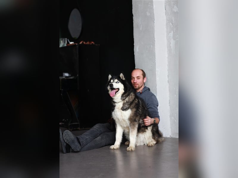 SEVER- sucht Freunde der nordischen Rasse