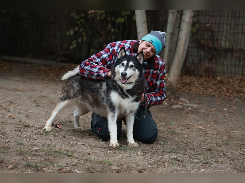 Kati, auf PS in 22043 Hamburg,  möchte ihr Herz verschenken