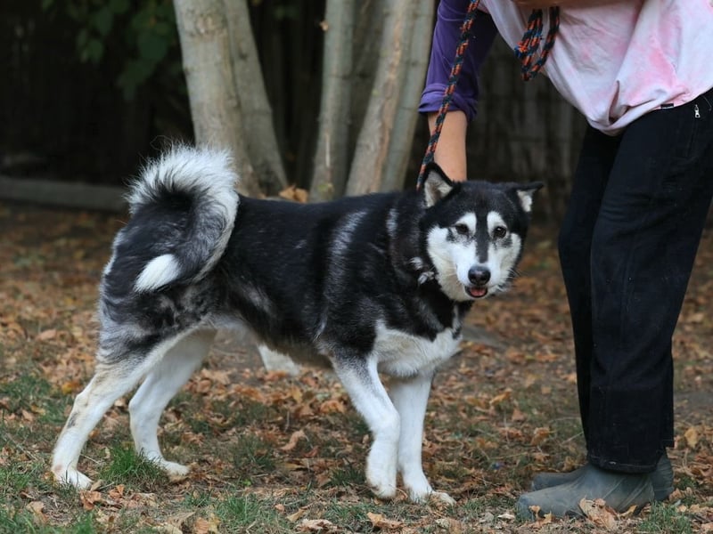 Kati, auf PS in 22043 Hamburg,  möchte ihr Herz verschenken