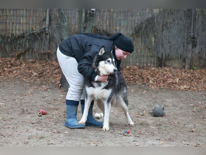 Kati, auf PS in 22043 Hamburg,  möchte ihr Herz verschenken