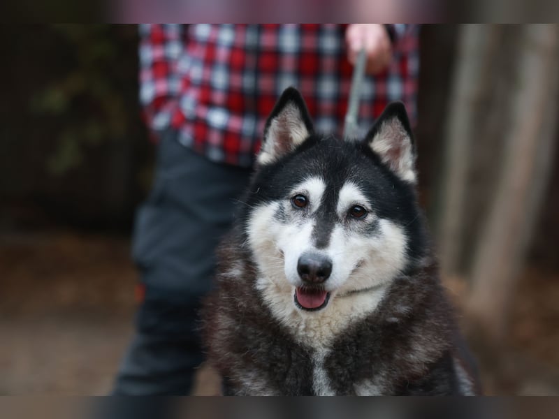 Kati, auf PS in 22043 Hamburg,  möchte ihr Herz verschenken