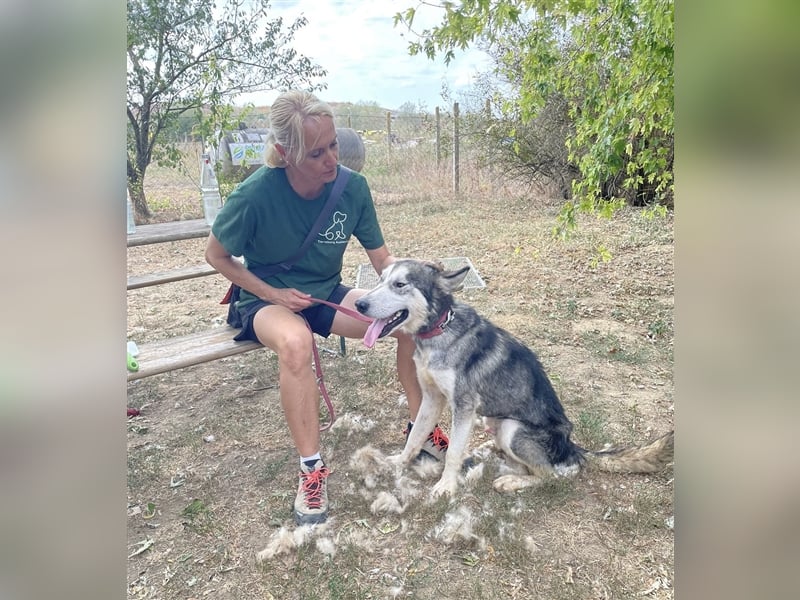 Kody, freut sich auf eine aktive Familie