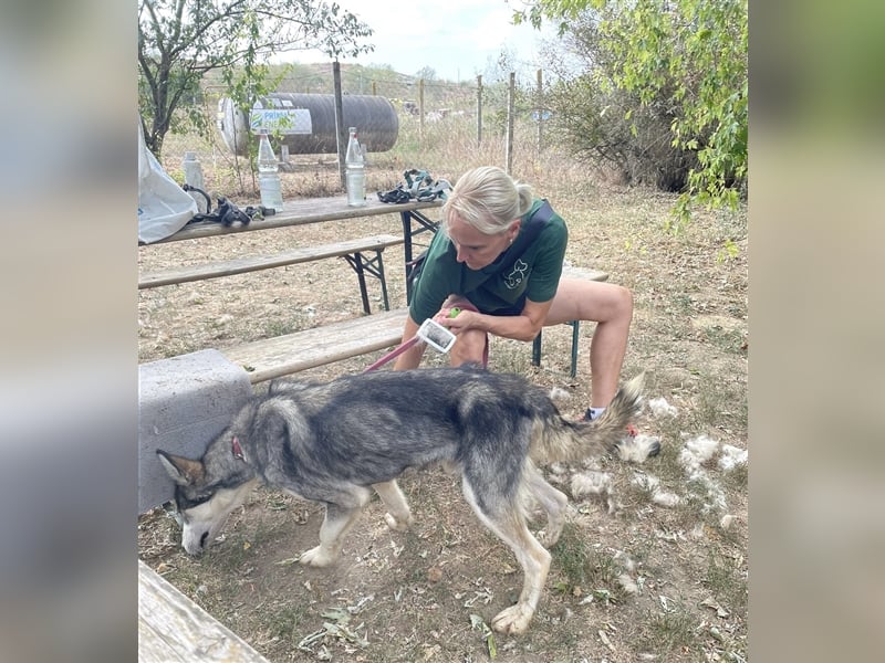 Kody, freut sich auf eine aktive Familie