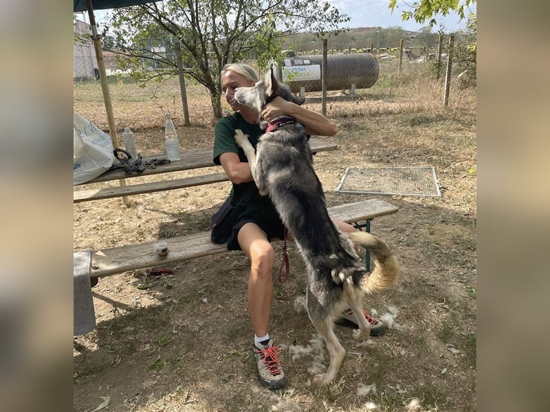 Kody, freut sich auf eine aktive Familie
