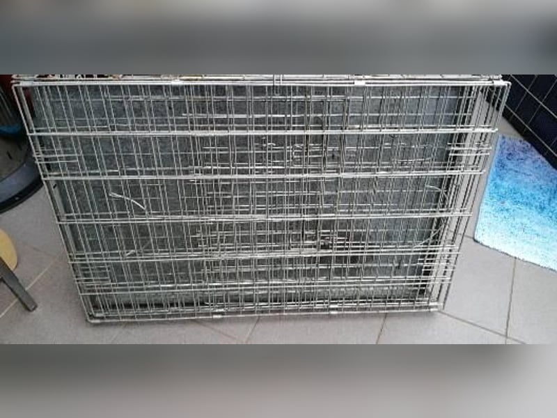 Alles zu verkaufen ( Zuchtauflösung.