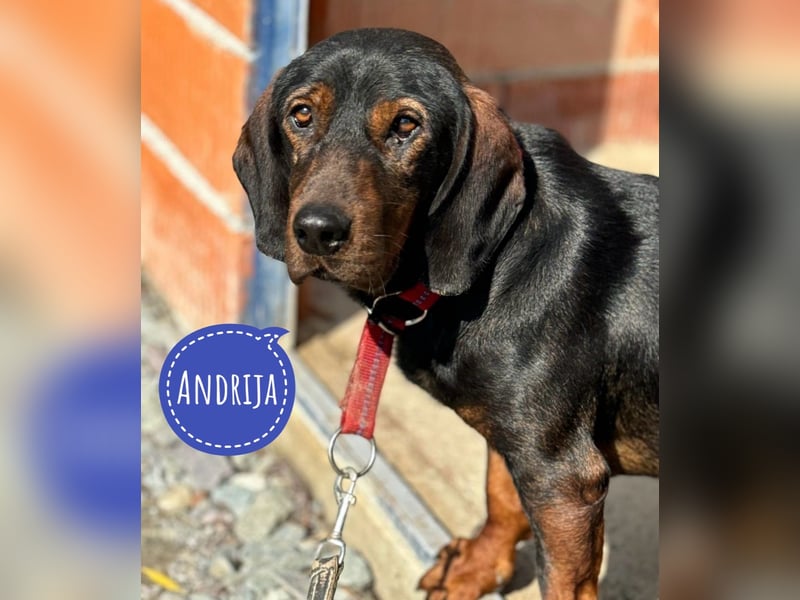 Andrija ein gebrochener Engel