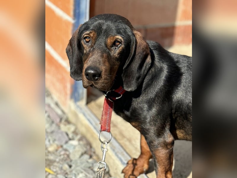 Andrija ein gebrochener Engel