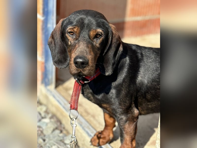 Andrija ein gebrochener Engel