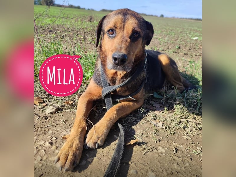 Mila die Allerliebste