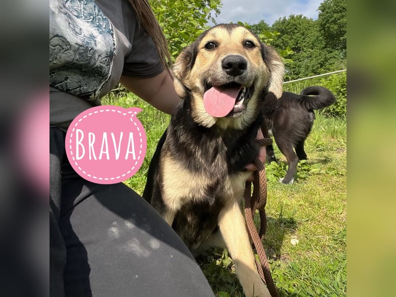 Brava die Bravste