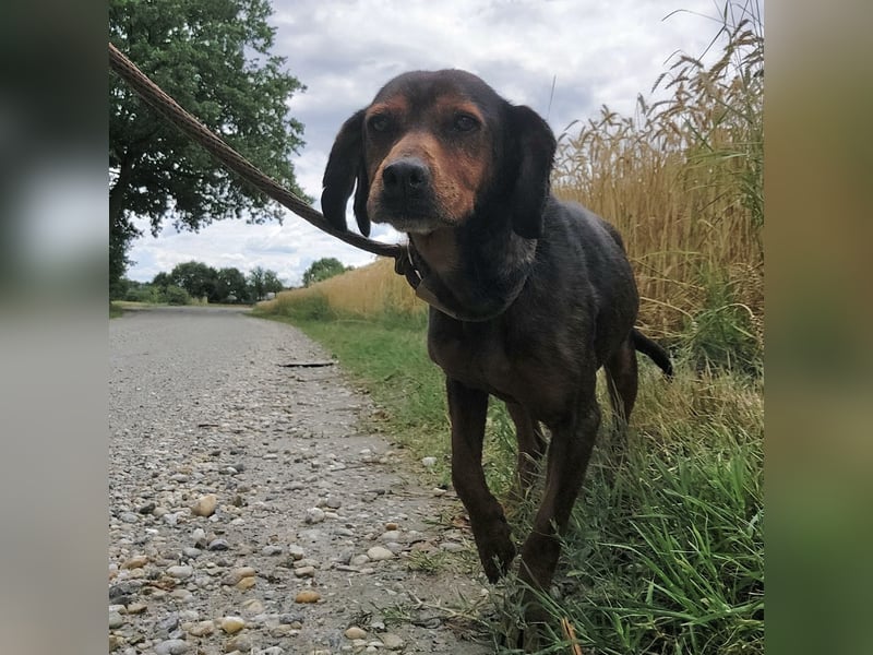Missy braucht Liebe