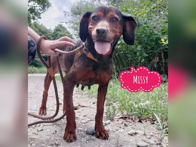 Missy braucht Liebe