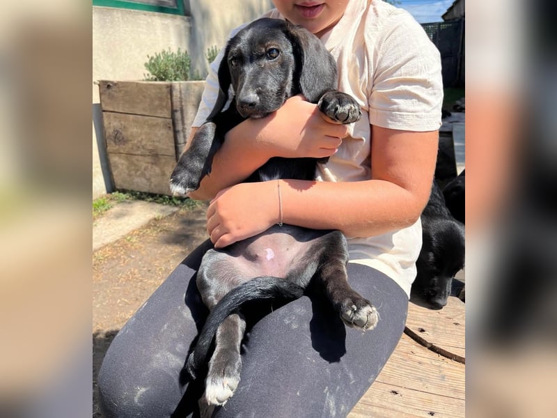 Dudda sucht eine Familie, gerne mit Kindern