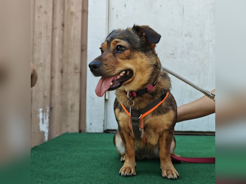 Sky ein schüchternes kleines Mädchen