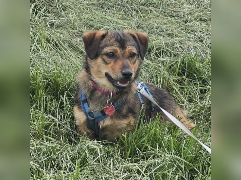 Sky ein schüchternes kleines Mädchen