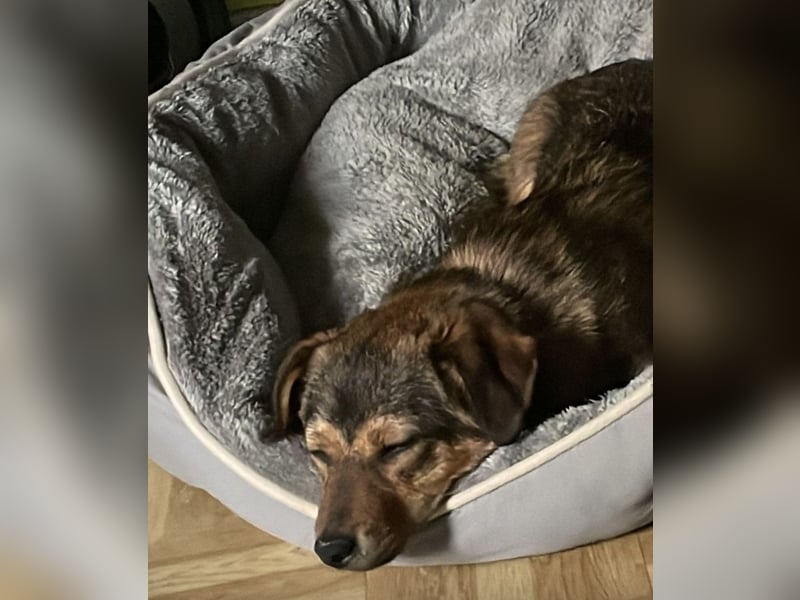 Sky ein schüchternes kleines Mädchen