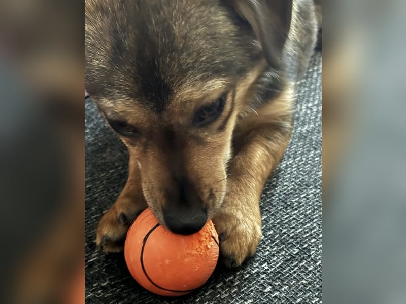 Sky ein schüchternes kleines Mädchen