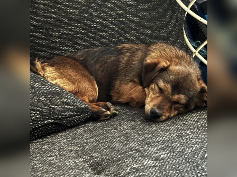 Sky ein schüchternes kleines Mädchen