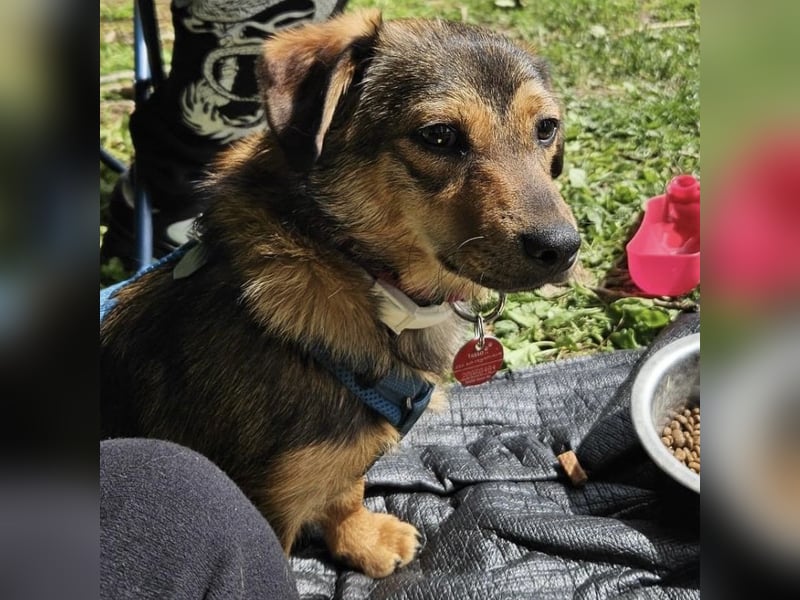 Sky ein schüchternes kleines Mädchen