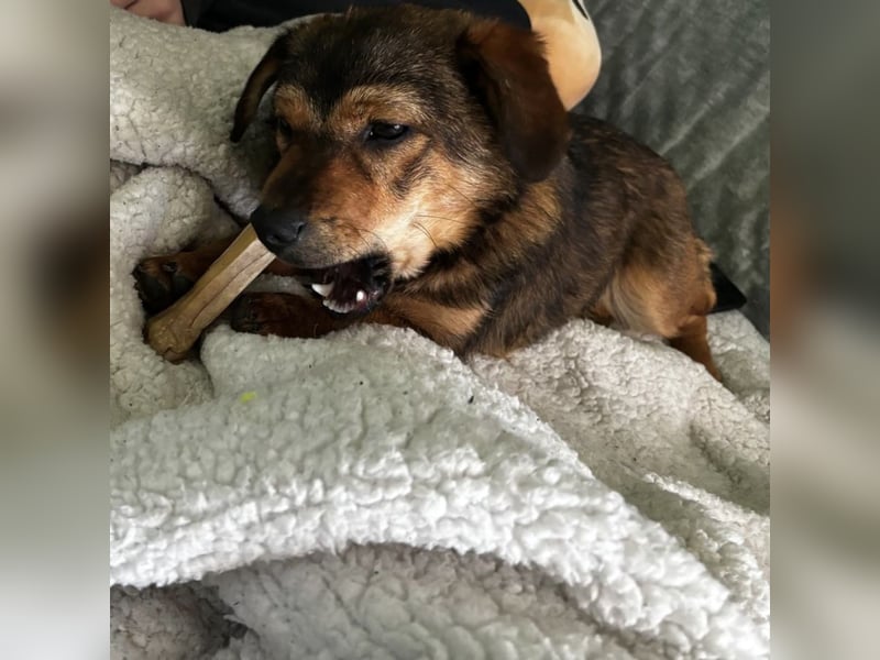 Sky ein schüchternes kleines Mädchen