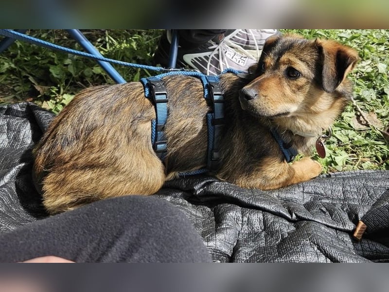 Sky ein schüchternes kleines Mädchen