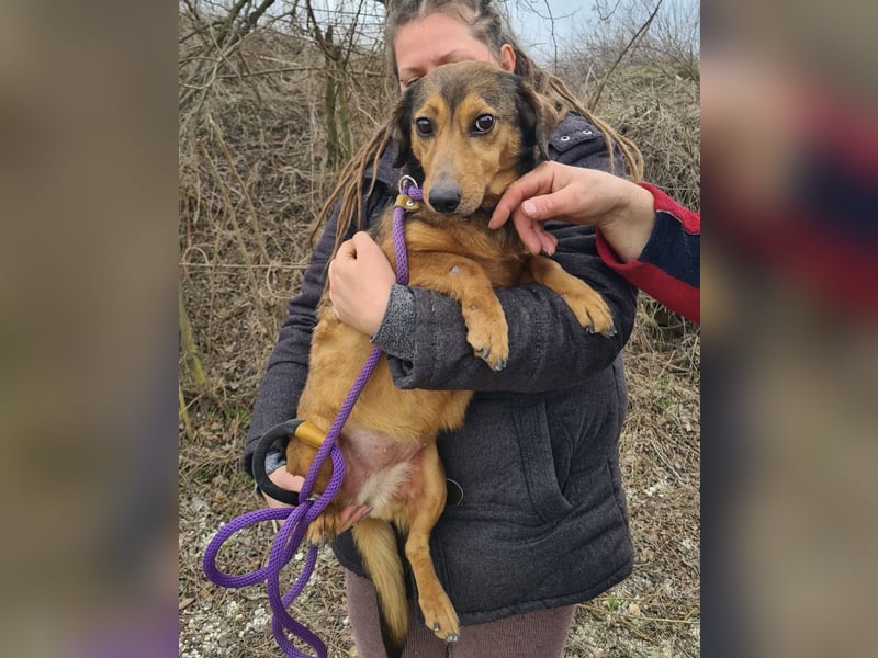 Manda eine wundervolle Seele