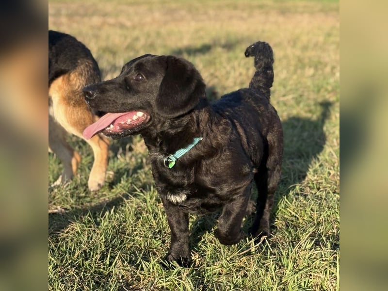 Cody der Allerliebste