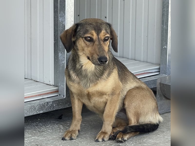 Manda eine wundervolle Seele