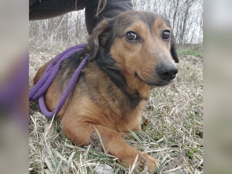 Manda eine wundervolle Seele