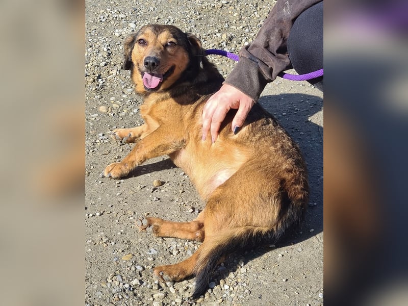 Manda eine wundervolle Seele