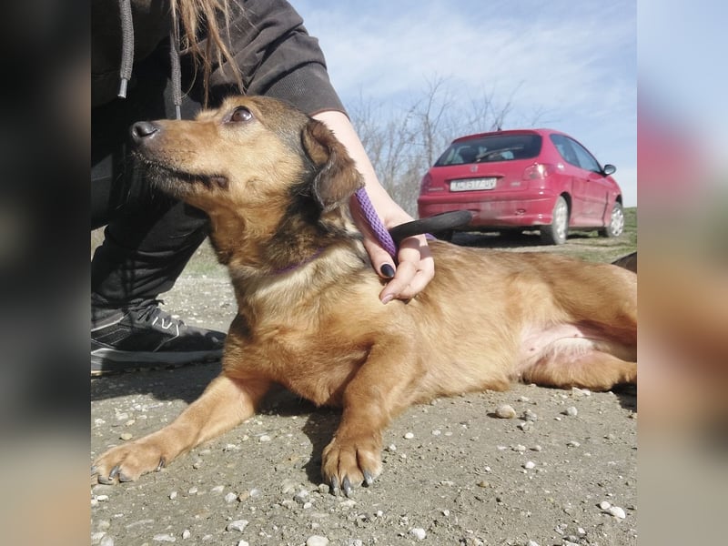 Manda eine wundervolle Seele