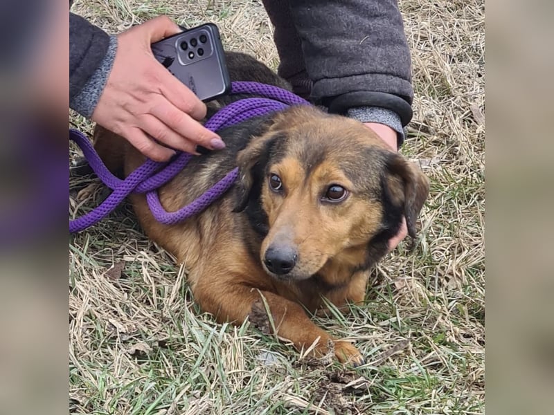 Manda eine wundervolle Seele