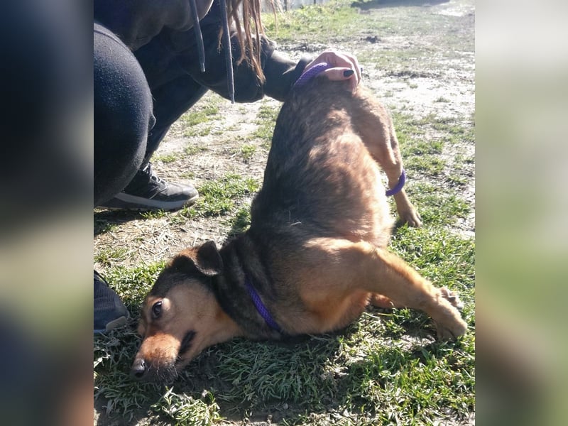 Manda eine wundervolle Seele