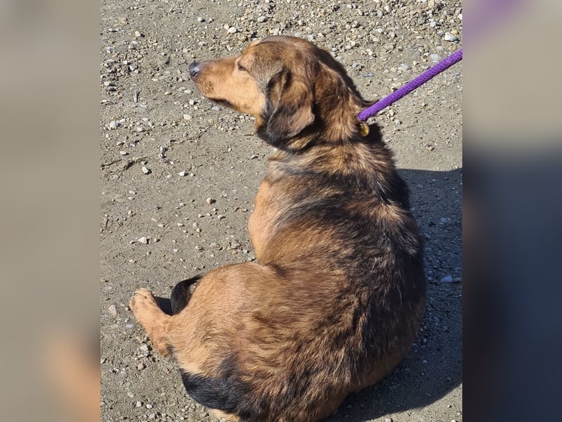 Manda eine wundervolle Seele