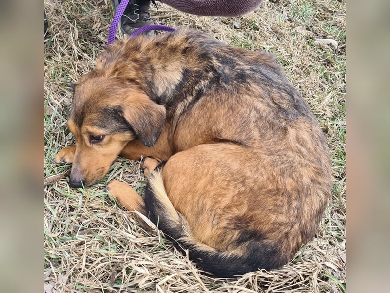 Manda eine wundervolle Seele